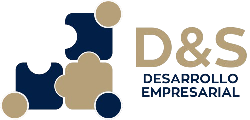 D&S Desarrollo Empresarial Logo