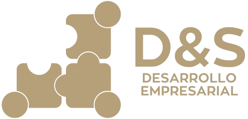 D&S Desarrollo Empresarial Logo