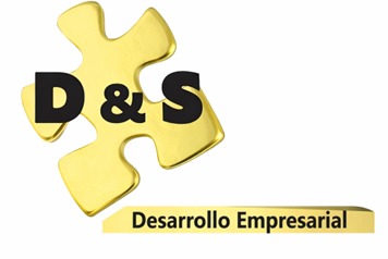 D&S Desarrollo Empresarial Logo
